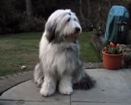 1 year old